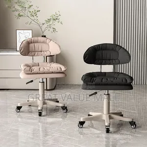 Beauty Salon Stool
