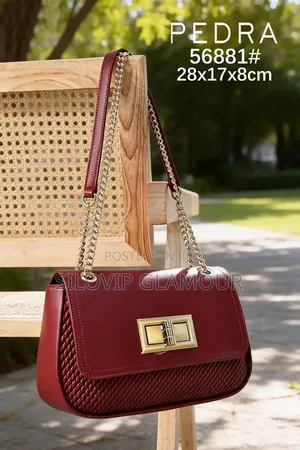 Classy Easy to Carry Chic Bag