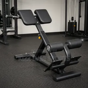 Roman Chair / 45° Back Extension Bench Hyperextension Bench
