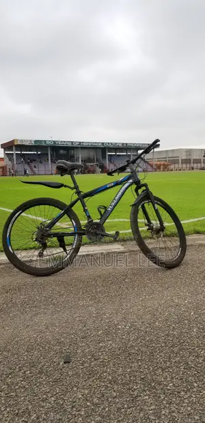 Adult Bicycle