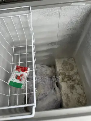 Chest Freezer