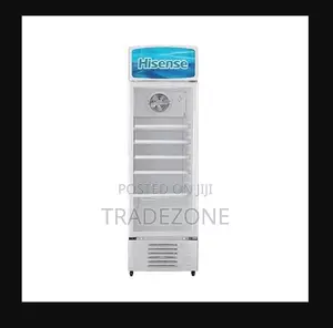 Hisense FL 36FC 251 Litres Beverage Chiller