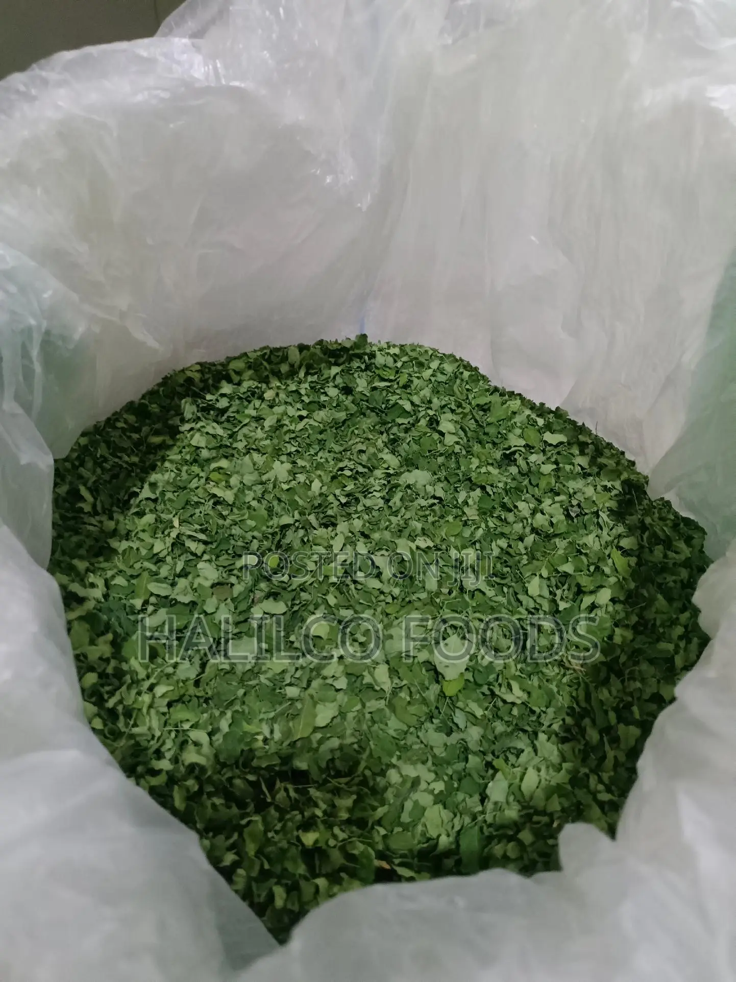Moringa Leaf Powder