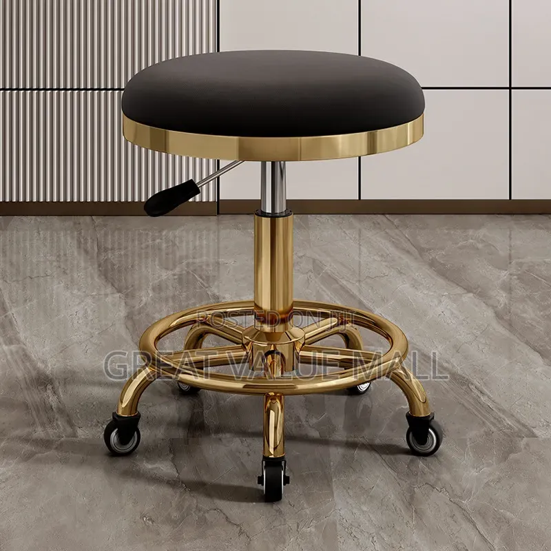 Adjustable Barber Stool
