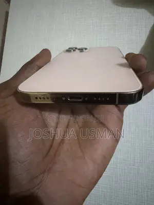 New Apple iPhone 12 Pro Max 256 GB Rose Gold