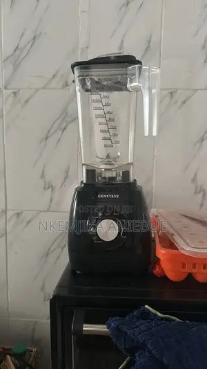 Powerful Gensteve Wet Dry Blender