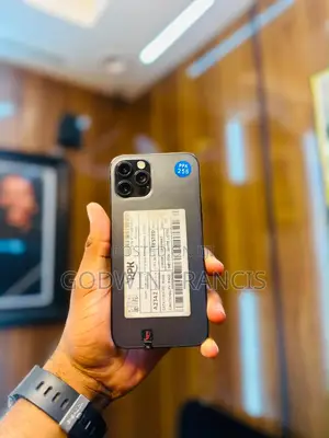 Apple iPhone 12 Pro 256 GB Gray