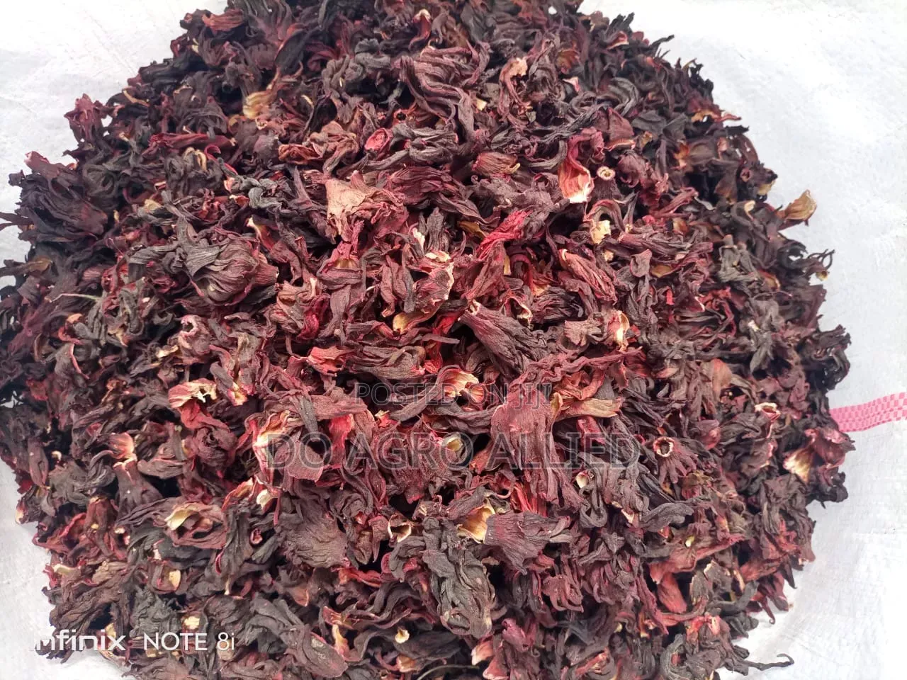 Hibiscus Flower