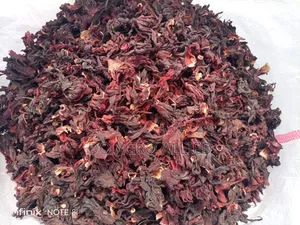 Hibiscus Flower