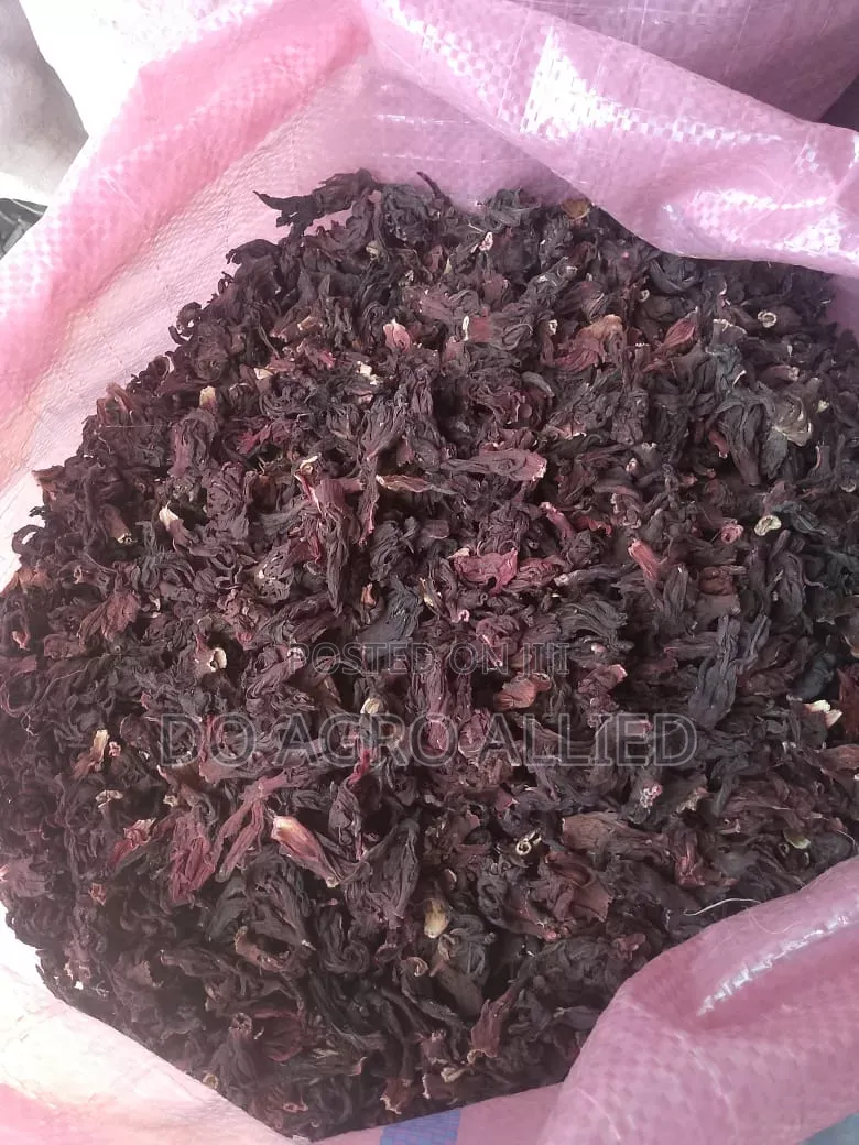 Hibiscus Flower