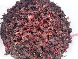 Hibiscus Flower