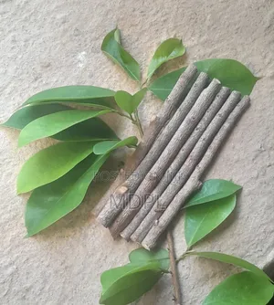 Soursop Chewing Sticks