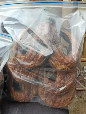 Smoked Cat-Fish