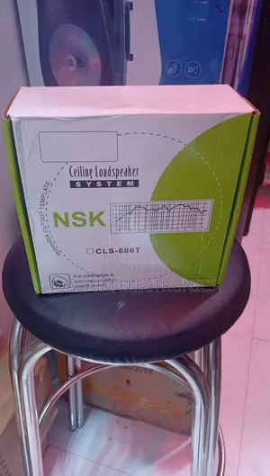 NSK Professional Lound Celling Speaker