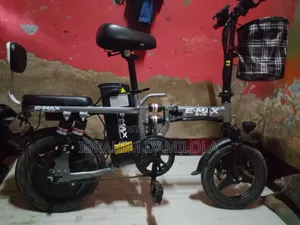 Emax Electric Bicycle