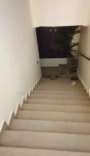 Post Renovation Cleaning