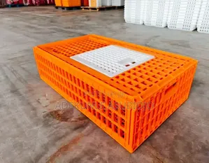 Transfer Cages for Poultry for Sale