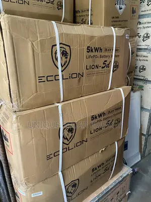 Ecolion 5kwh 24v Lithium Ion Battery