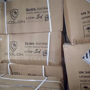 5kwh/24v Ecolion Lithium Battery