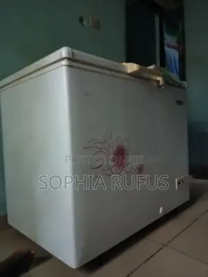 319L Haier Thermocool Freezer for Sale