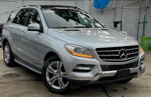 Mercedes-Benz M Class 2014 Silver