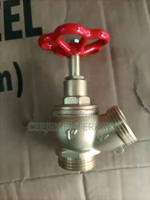 Fire Hydrant Landing Valve Dm16