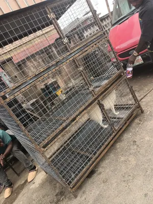 Dog Cage Is for Sale Contact or Whatsapp Me On