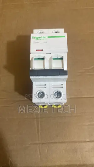 Schneider 2 Pole DC 125A Circuit Breaker | Original New