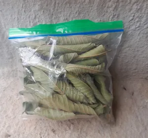 Dried Guava Leaves