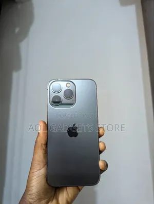 Apple iPhone 13 Pro 256 GB Gray