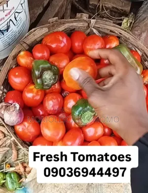 Momolicious Tomatoes