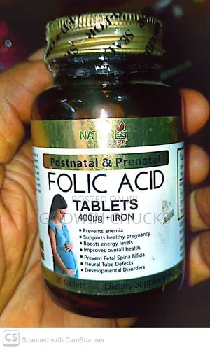 Highly Effective Natural Fertility Therapies