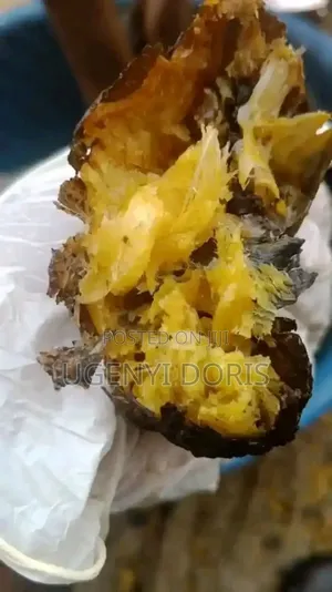 Debone Mangala Fish / Mangala Fish