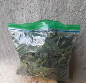 Fresh Neem Leaves