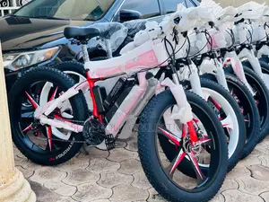Brand New Electric Mercedes-Benz Fat-Tire E-Bike (350W 48V 15Ah)