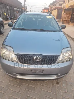 Toyota Corolla 2003 Gray