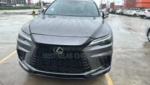 Lexus RX 2024 Gray