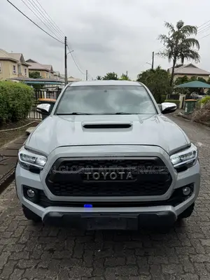 Toyota Tacoma Double Cab V6 Automatic 2010 Gray