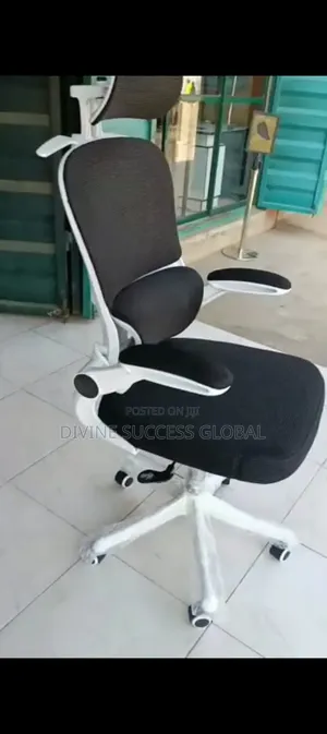 Senior Executive Office Ergonomic Chair