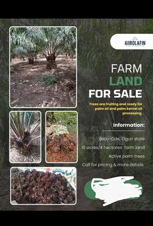 10 Acres of Farmland