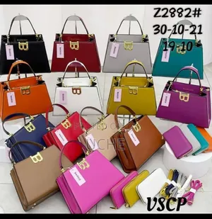 Classy Female Bag .