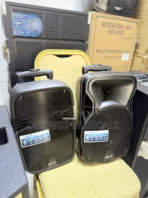 MLG 8 Inches PA Speaker System