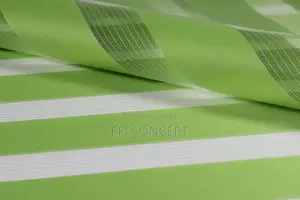 Green Sample Plain Zebra Day and Night Blind Custom-Made