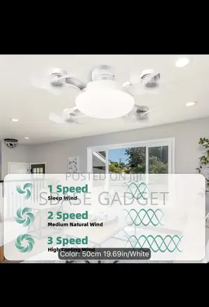 Head Drone Ceiling Fan