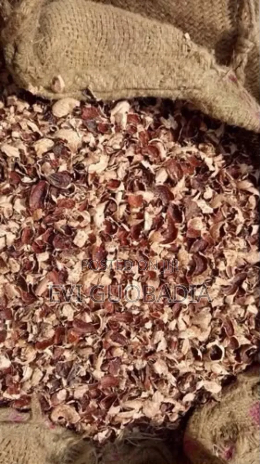 Cashew Nut Shell