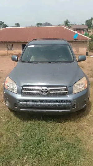 Toyota RAV4 2010 Blue