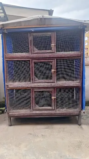 Two Chicken Cages.