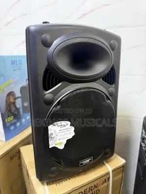 Modern Day PA Speaker System