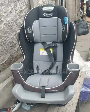 Imported Extend to Fit Convertible Car Seat 0-10years