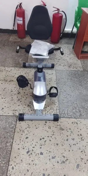 Adjustable Recumbent Exercise Bike for Home